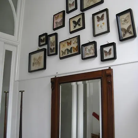 Het Gele Huis